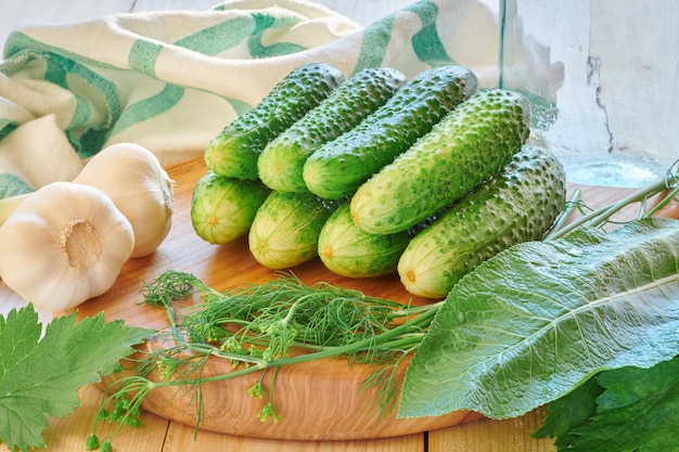 Group of young green small cucumbers on cutting board for pickling Marinated and canned food Fresh ripe cucumbers Cucubmber harvest Organic detox food Preparation for canning