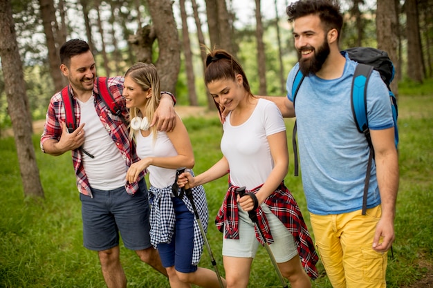 Group of young people are hiking in mountain at spring day