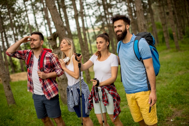 Group of young people are hiking in mountain