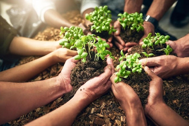 Growing together High angle shot of a group of unrecognizable people holding plants growing in soil