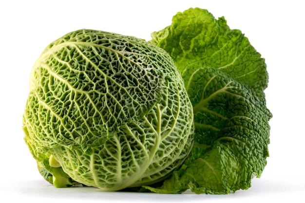 A grown head of Savoy cabbage on a white background