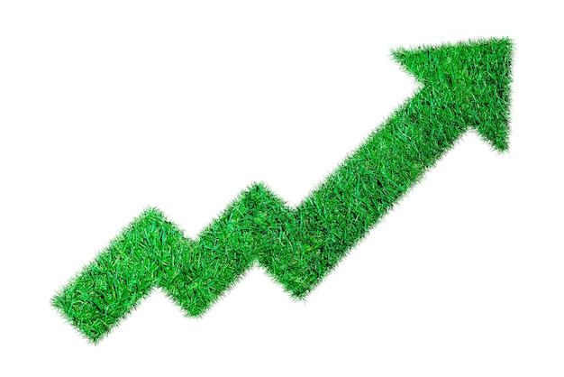 Growth diagram of grass on white background