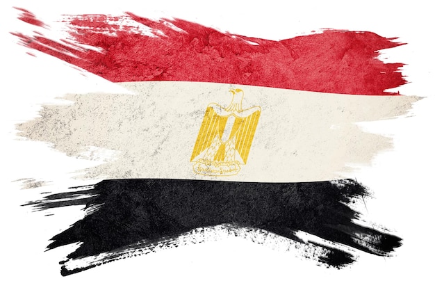 Grunge Egypt flag. Egyptian Brush stroke.