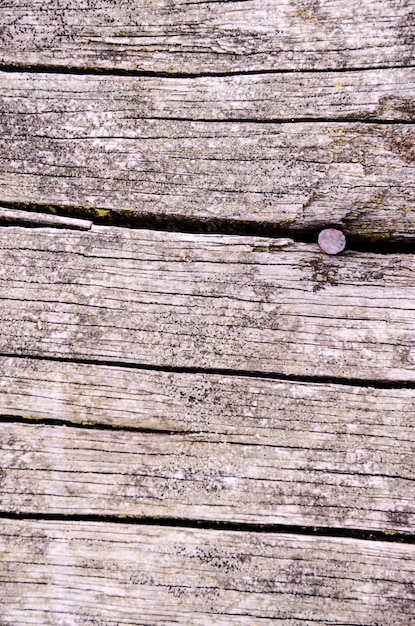 Grunge Floor Boards