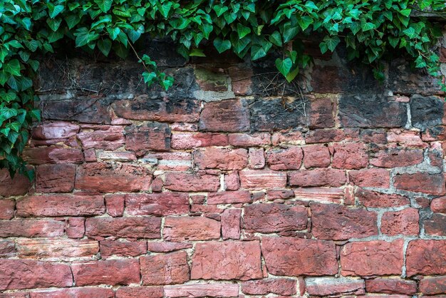 Grunge Stone Brick Wall Background Texture