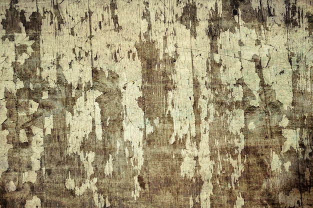 Grunge texture of peeling wood with white paint