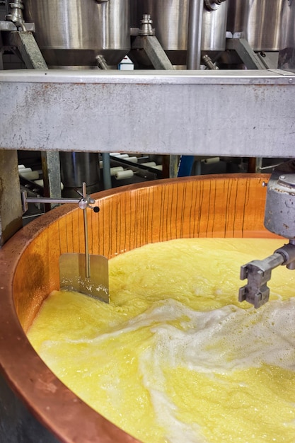 Gruyere de Comte Cheese Processing in the dairy in Franche Comte, Burgundy, of France.