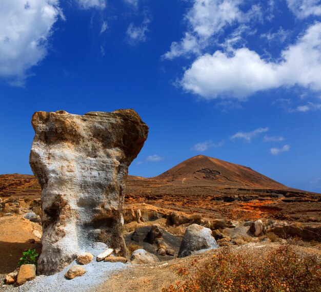 Guatiza teguis stones volcanic Lanzarote