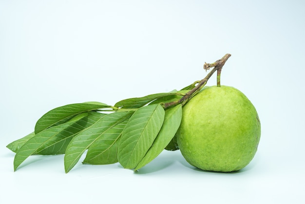 Guava fruit isolated on the white background.