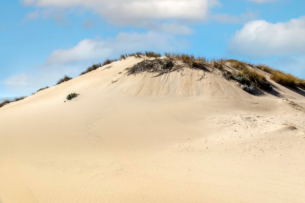 Guincho beach sand dunes