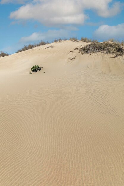 Guincho beach sand dunes