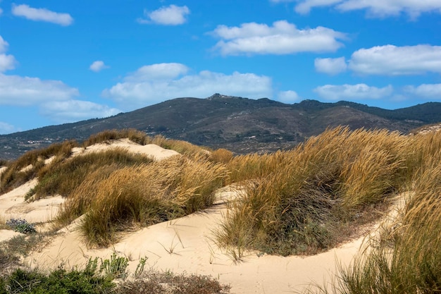 Guincho beach sand dunes