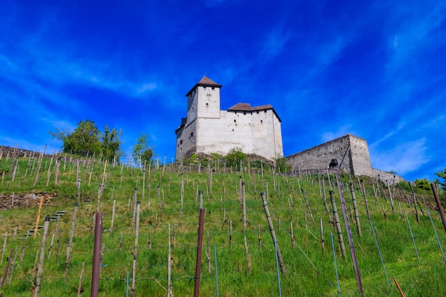 Gutenberg Castle in town of Balzers Liechtenstein