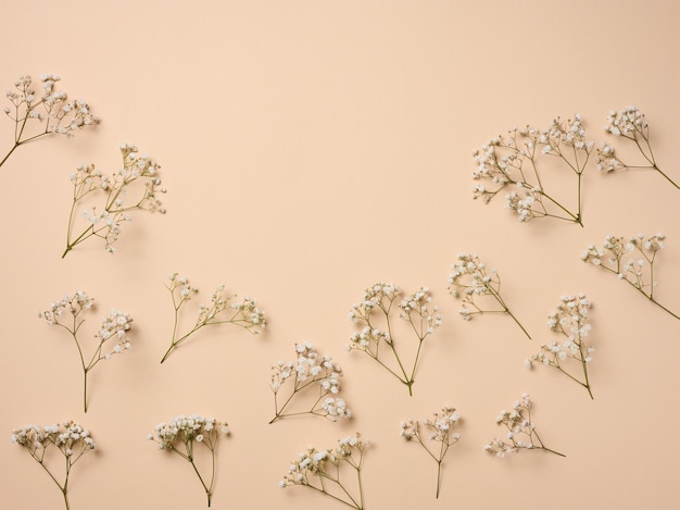 Gypsophilia branch with white flowers on a beige background top view Copy space