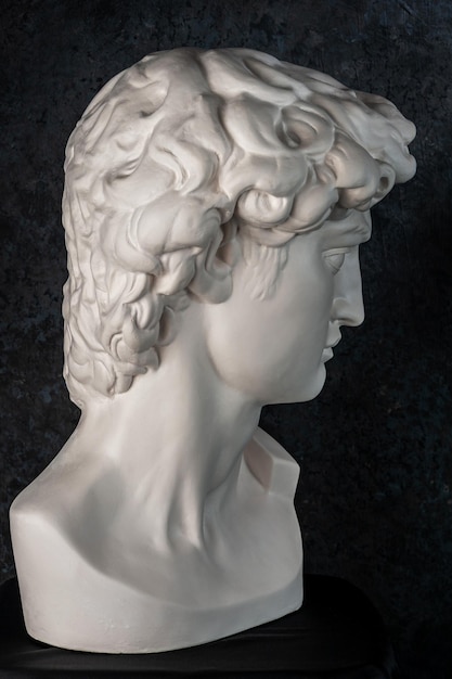 Gypsum copy of head statue david for artists on dark background replica of face famous sculpture