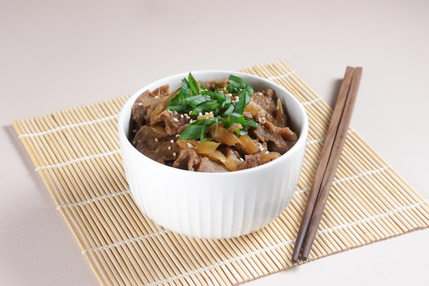 Gyudon is Japanese Beef Rice Bowl or Yakinikudon.