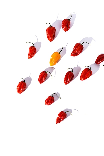 Habaneros peppers and hot chili peppers on colorful backgrounds