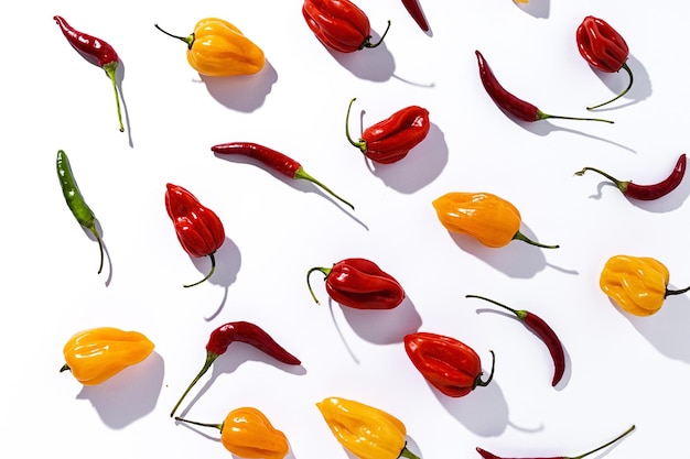 Habaneros peppers and hot chili peppers on colorful backgrounds