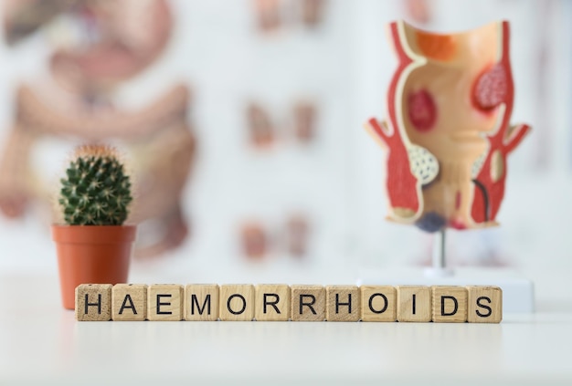 Haemorrhoids latin name of hemorrhoids made of wooden cubes against rectal model and cactus in