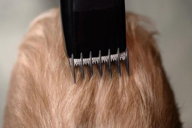 Haircuts of a boys blond hair with a clipper in a barbershop closeup hair care concept