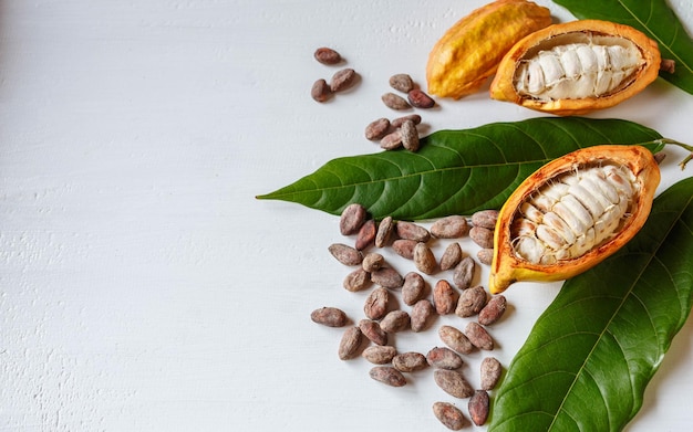 Half cacao pods and cacao fruit with brown cocoa beans on white background