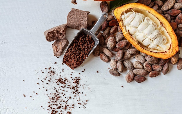 Half cacao pods with cacao fruit and brown cocoa powder