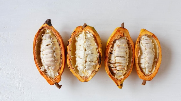 Half cacao pods with cocoa fruit on white wooden table