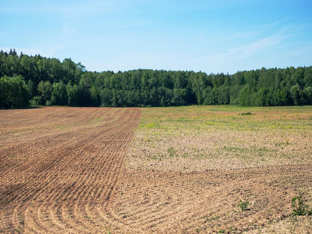 Half plowed field farming and farming concept