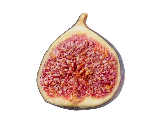 Half of a purple fig isolated on white background with copy space Soft sweet fruit skin is thin red flesh has many seeds inside of it Closeup