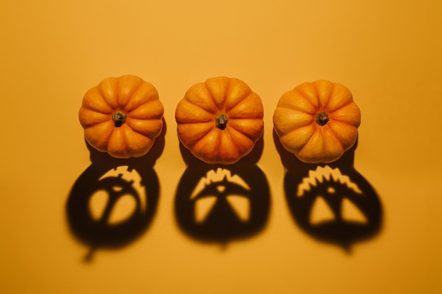 Halloween background concept Jack O pumpkin angry face shadow Spooky smiling shadow of an orange pumpkin lantern top view close up Halloween party design