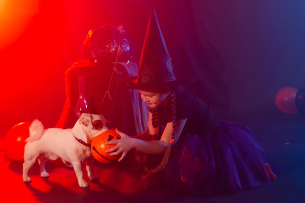 Halloween and celebration concept Child girl in witch costume with Halloween pumpkin playing with dog jack russell terrier