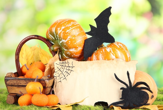 Halloween composition on nature background