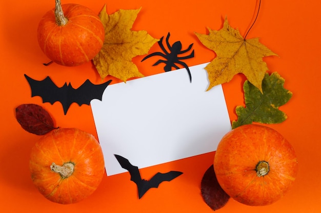 Halloween concept Festive decorations Pumpkins and greeting card on orange background