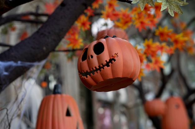 Photo halloween concept pumpkin on holiday background