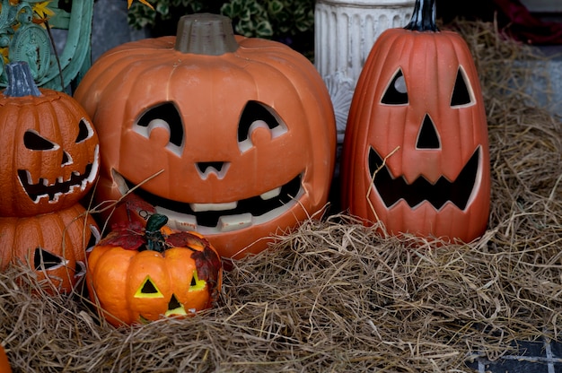 Halloween concept pumpkin on holiday background