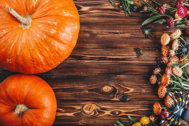 Halloween concept with fresh pumpkins and flowers with spiders on the wooden table. Trick or Treat view from above