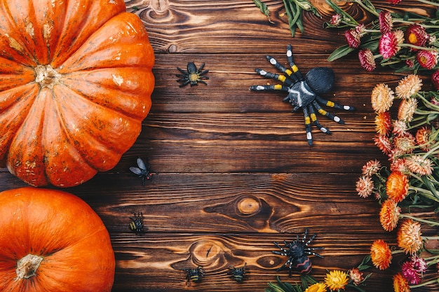 Halloween concept with fresh pumpkins, spiders and bugs with flowers. Trick or Treat view from above