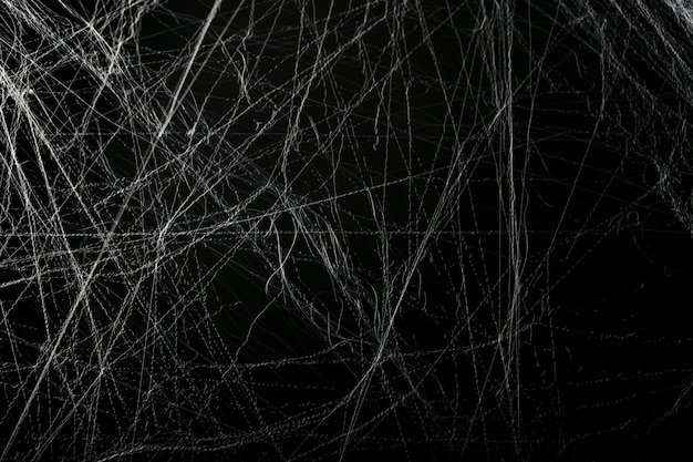 Halloween creepy cobweb spiders web with a black background