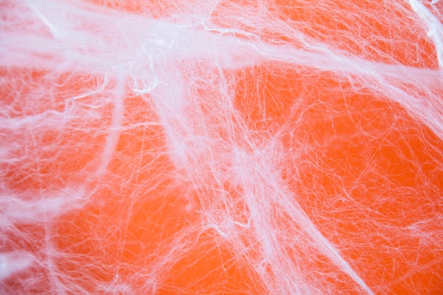 Halloween creepy cobweb spiders web with an orange background