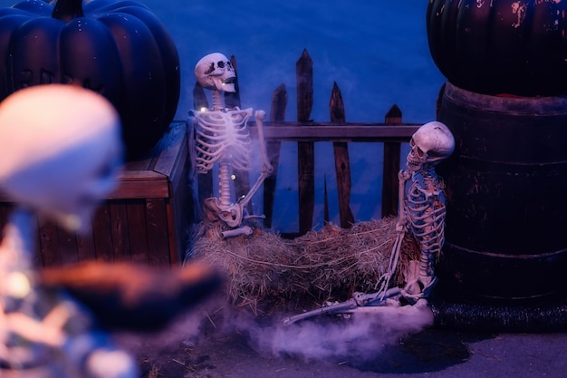 Halloween decoration with skeletons