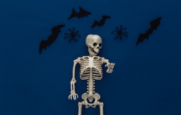 Halloween, decorations and scary concept. Skeleton and spiders, black bats fly over classic blue dark