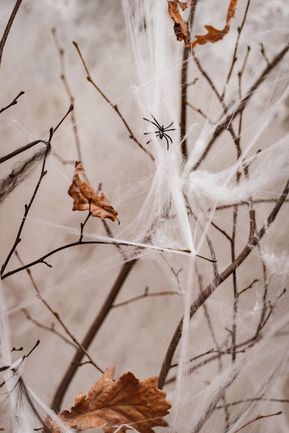 Halloween decorations white spider web on the background of burning candles in a dark room in the evening vertically horror