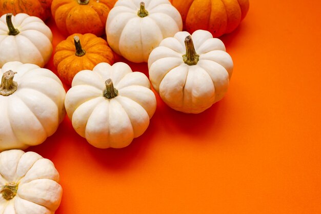 Halloween flat lay composition of black paper bats fand pumpkins on orange background Halloween concept