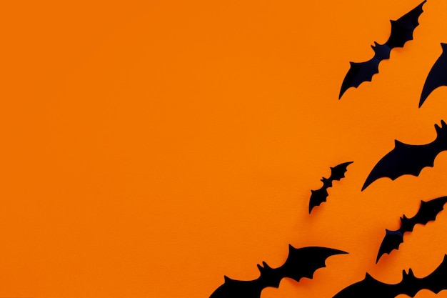 Halloween flat lay composition of black paper bats fand pumpkins on orange background Halloween concept