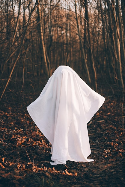 Halloween ghost in the woods Halloween holiday Masquerade An article about Halloween An article about a ghost Mysticism