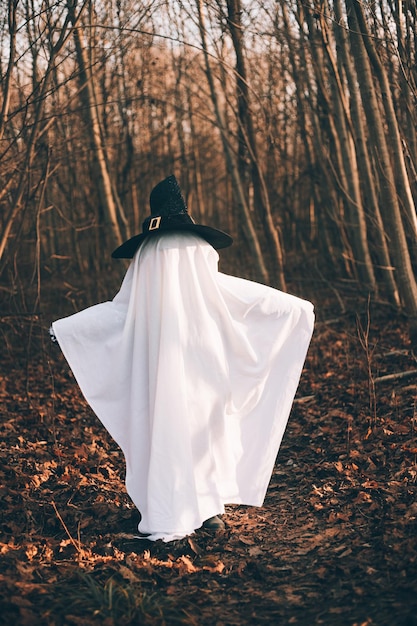 Halloween ghost in the woods Halloween holiday Masquerade An article about Halloween An article about a ghost Mysticism