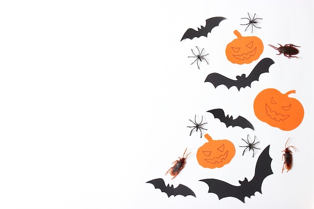 Halloween holiday background top view place for text