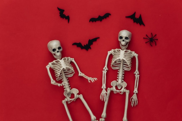 Halloween holiday concept. Two skeleton and flying bats, spiders on a red