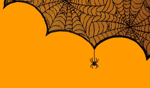 Halloween party background Spider web on orange with a spider