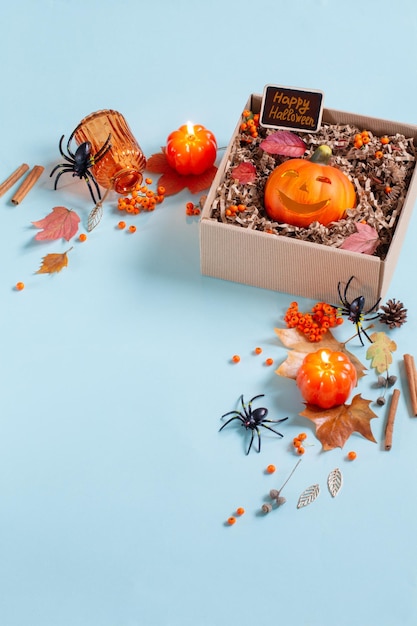 halloween pumpkin in gift box with decor on blue background